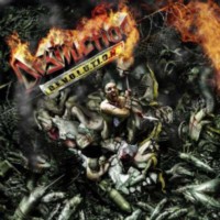 DESTRUCTION D.E.V.O.L.U.T.I.O.N. - LP