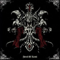 DIMIDIUM MEI Flames of hatred