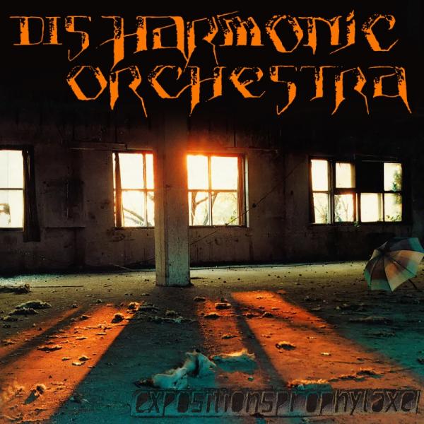 DISHARMONIC ORCHESTRA Expositionsprophylaxe