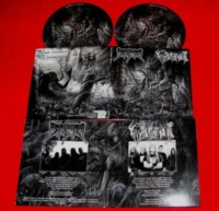 DISMA - WINTERWOLF Split picture 7"