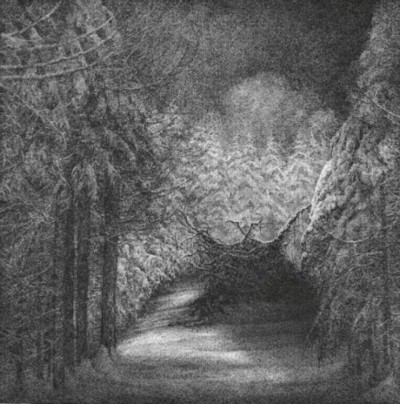 DJEVEL Blant Svarte Graner