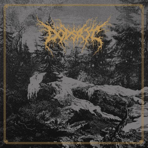 DODSRIT Mortal Coil