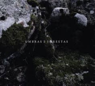 DOWNFALL OF NUR Umbras e Forestas