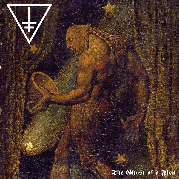 DROWNING THE LIGHT The Ghost Of A Flea