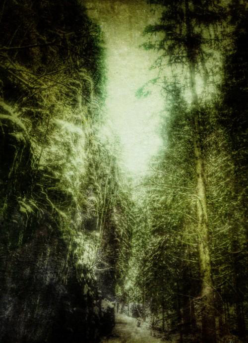 EARTH AND PILLARS Earth I