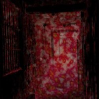 ELIMI Asylum