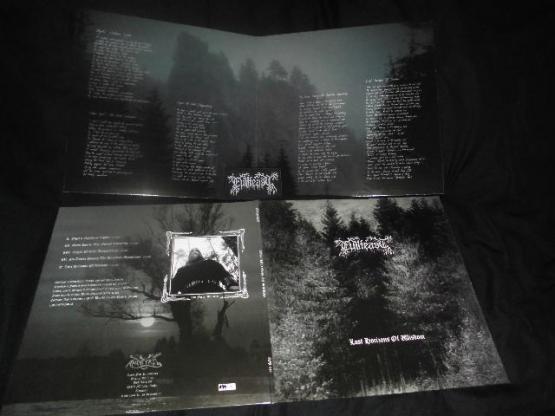 EVILFEAST Lost horizons of wisdom
