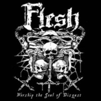 FLESH (SWE) Worship the soul of disgust