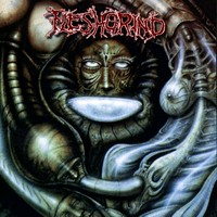 FLESHGRIND Destined for defilement