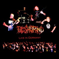 FLESHGRIND Live in Germany