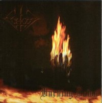 FORGOT Burning down