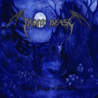 FRONT BEAST Wicked wings of Wartjalka - LP