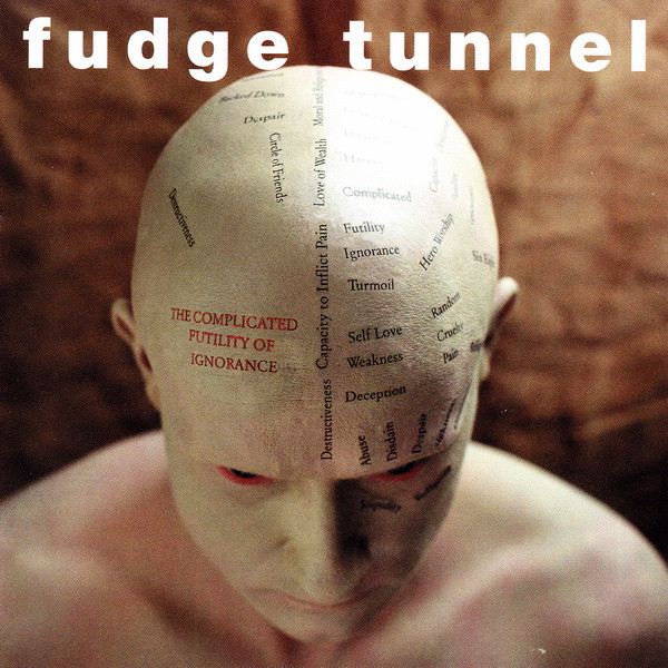 FUDGE TUNNEL The Complicated Futility Of Ignorance
