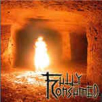 FULLY CONSUMED Fully Consumed