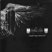 HANDFUL OF HATE death from above 7"