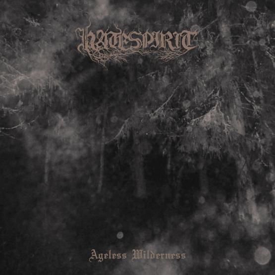 HATESPIRIT Ageless Wilderness (LP)
