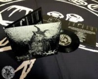 HORNA / DEN SAAKALDTE Split
