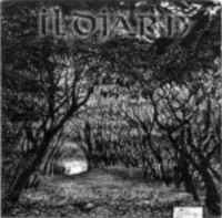 ILDJARN Forest poetry
