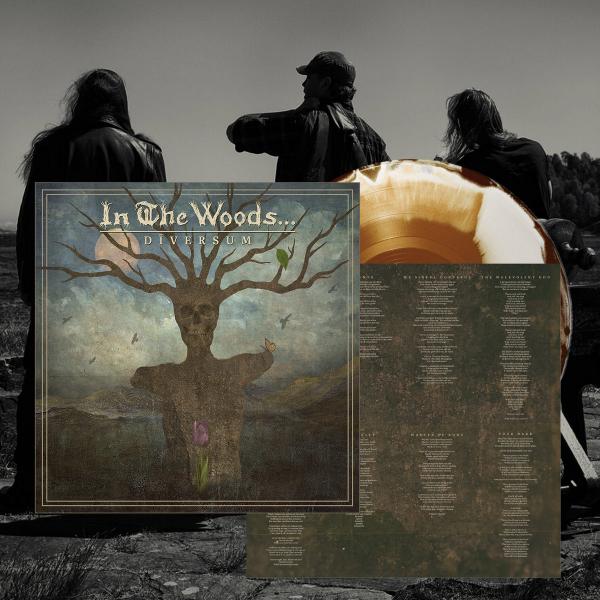 IN THE WOODS Diversum (brown white vinyl)