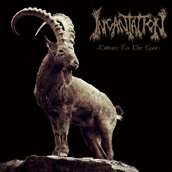INCANTATION Tribute to the Goat - black