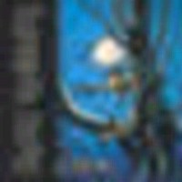 IRON MAIDEN Fear of the dark