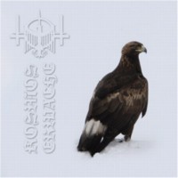 KAEVUM Kosmos erwache