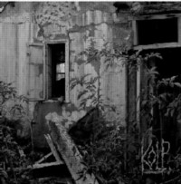 KOLP The outside - digi -