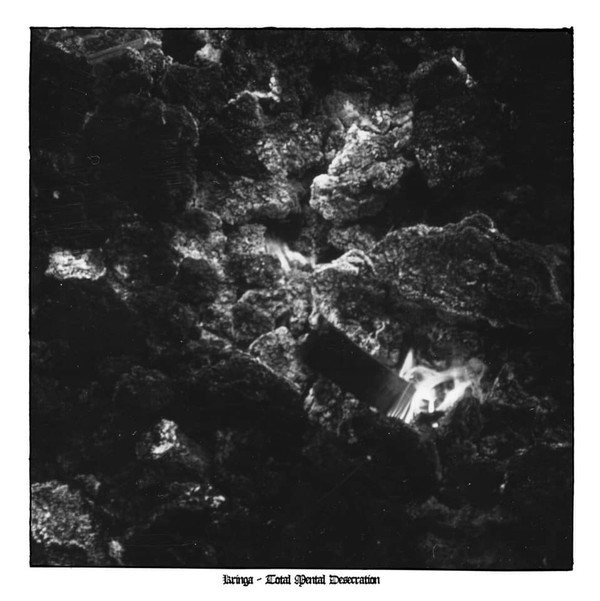 KRINGA Total Mental Desecration