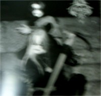 LIMBONIC ART 1995 - 1996