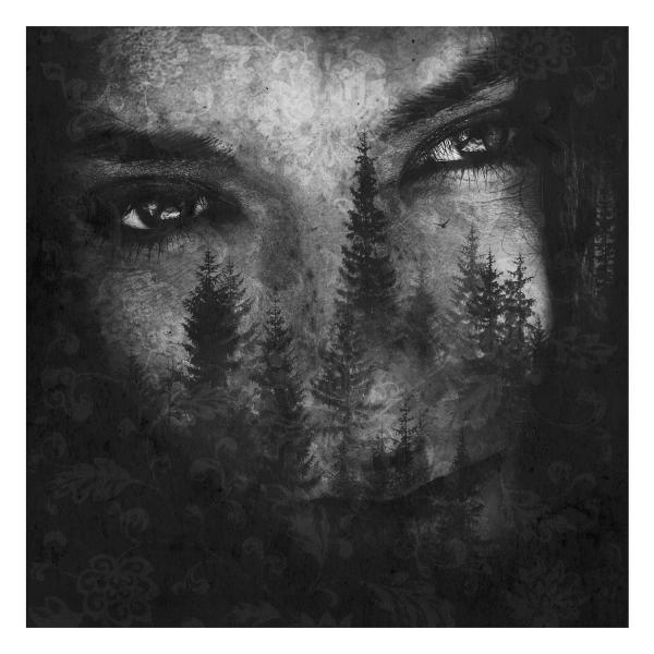 LUSTRE The Ashes of Light (CD)