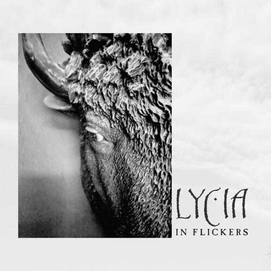 LYCIA In Flickers