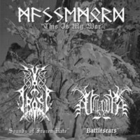 MASSEMORD - THE FROST - VALDUR Split CD