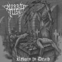 MORBID FLESH Reborn in Death