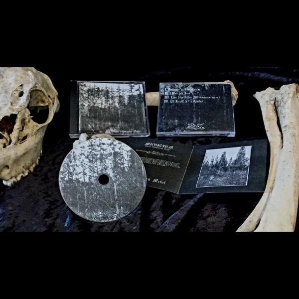 MUVITIUM Under Natthimlens Tecken