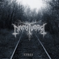 NACHTVORST Stills