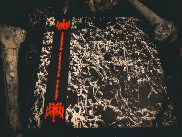 NECROPOLISSEBEHT Taurunovem - Th’Astraktyan Serfdome