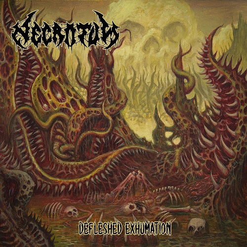 NECROTUM Defleshed Exhumation