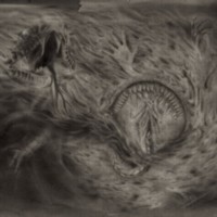 NIDSANG Into the Womb of Dissolving Flames