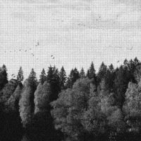 OCTOBER FALLS A collapse of faith