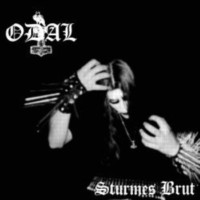 ODAL Sturmes brut