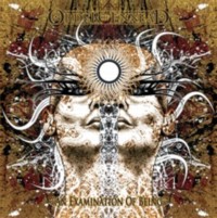 ORDER OF ENNEAD Examination of being - Lim Ed