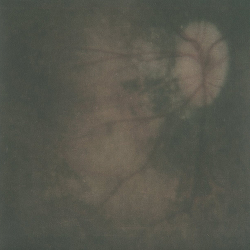 PALE SPEKTRE Bereft Of Xerotic Layers