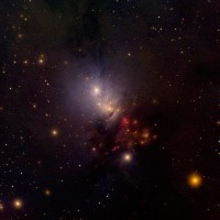 PROCER VENEFICUS Convoy Pt 2 - digi