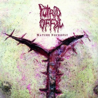 PUTRID OFFAL Mature Necropsy