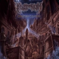 REVEL IN FLESH Manifested Darkness