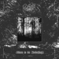 SILBERBACH - KRATER Split 7ep