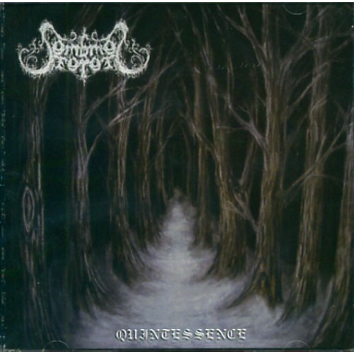 SOMBRES FORETS Quintessence