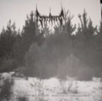 STRIBORG Black Desolate Winter / Depressive Hibernation - 2LP