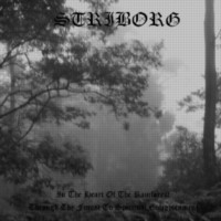 STRIBORG In The Heart Of The Rain Forest/ Through The Forest To Spiritual Enlightenment