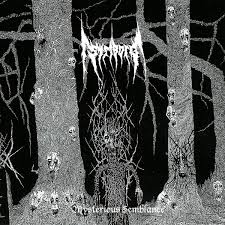 STRIBORG Mysterious semblance